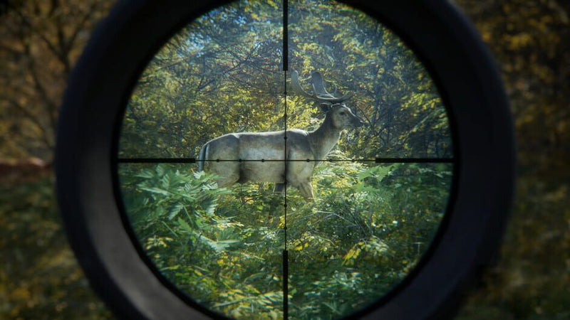 the Hunter: Call of the Wild - PS5 MÍDIA DIGITAL