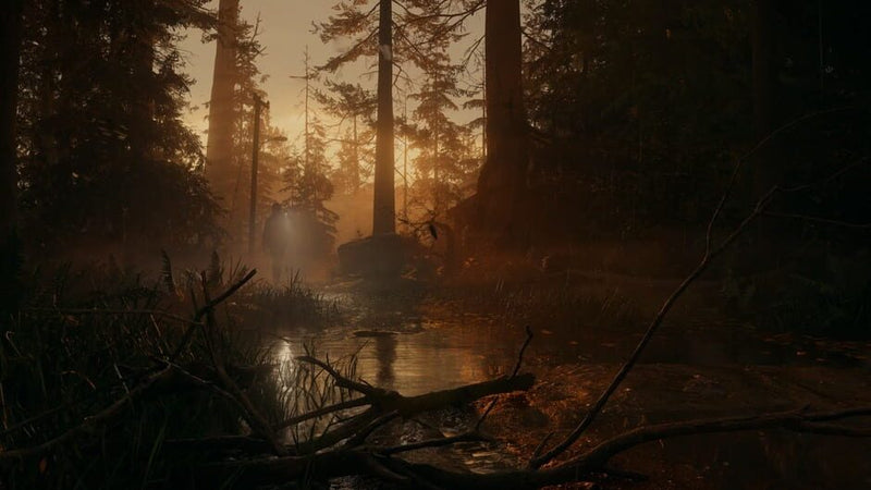 Alan Wake 2 - PS5 MÍDIA DIGITAL