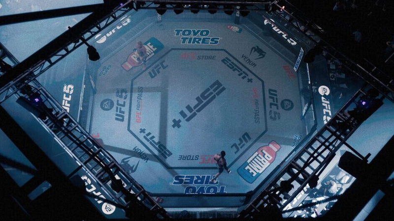 UFC™ 5 - PS5 MÍDIA DIGITAL
