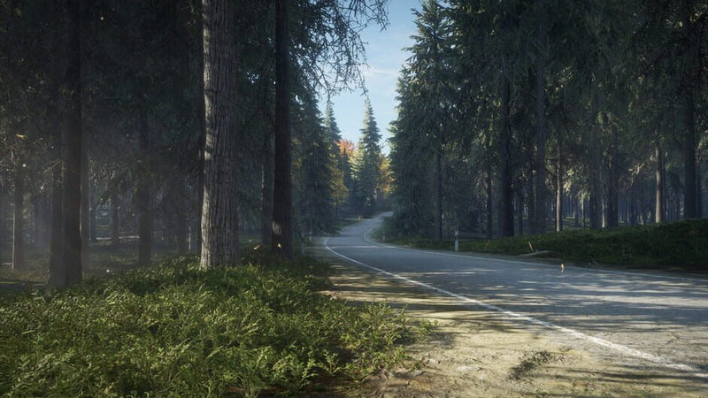 the Hunter: Call of the Wild - PS4 MÍDIA DIGITAL